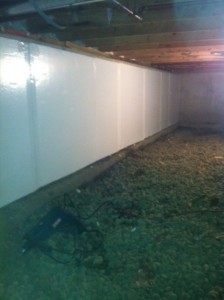 termite_thermal_wall_insulation