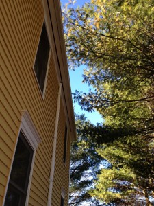 Touching tree and after market air conditioning allow direct access to the attic