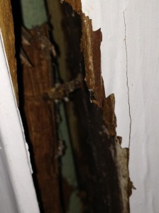 Water damaged wood door frame.  