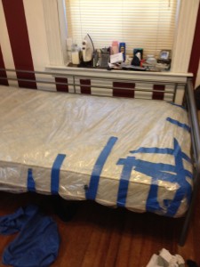 Bed bug mattress cover?