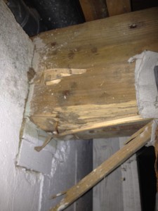 Termite damage to main beam
