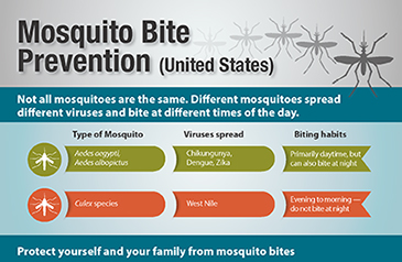 mosquito-bite-prev